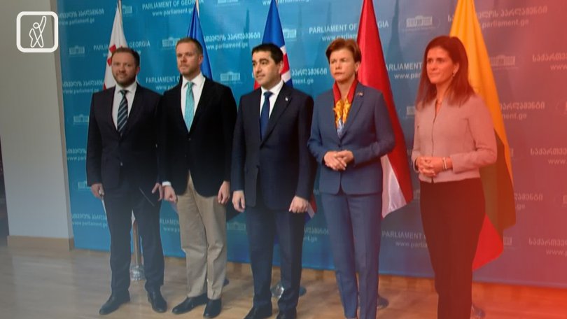 ევროპული ქვეყნების საგარეო საქმეთა მინისტრების ვიზიტი საქართველოში
